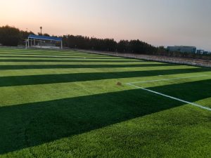 ملاعب جامعة مصر