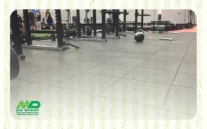 تجهيز الصالات الرياضية