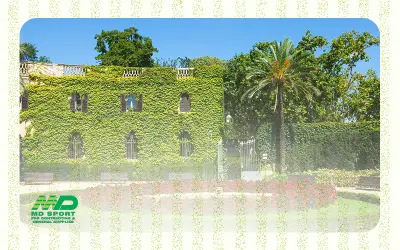 حدائق فلل راقية