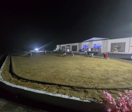 محطة الطاقه النووية - الضبعه