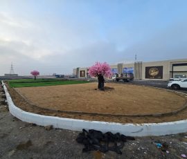 محطة الطاقه النووية - الضبعه